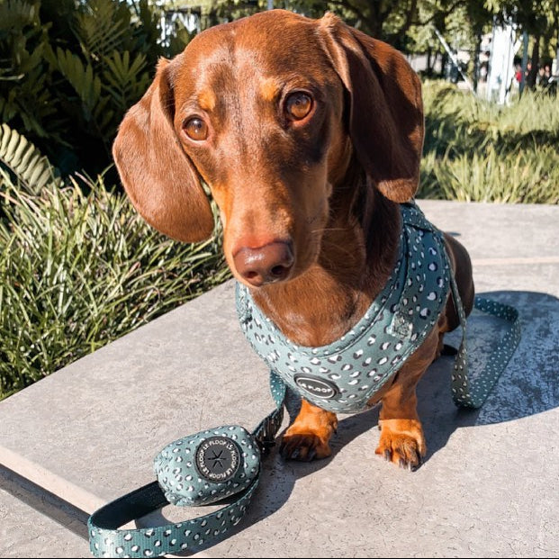 Forest Green Poop Bag Holder