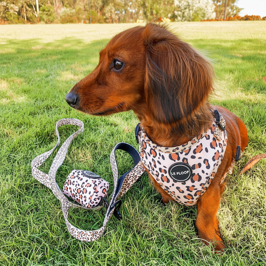 Wild Side Harness