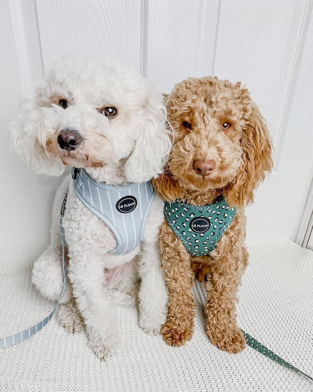 Forest Green Harness