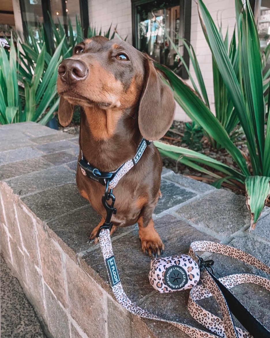 Wild Side Poop Bag Holder
