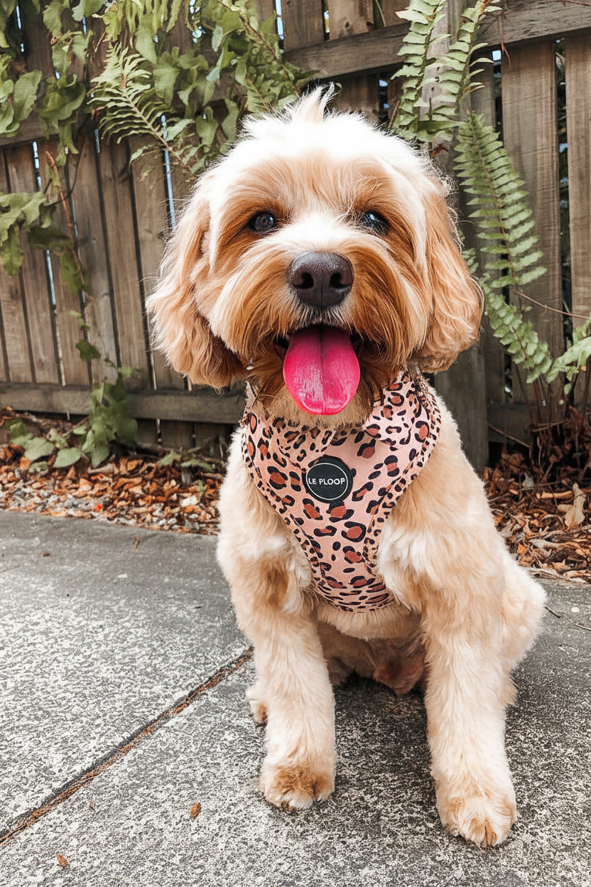 Wild Side Harness