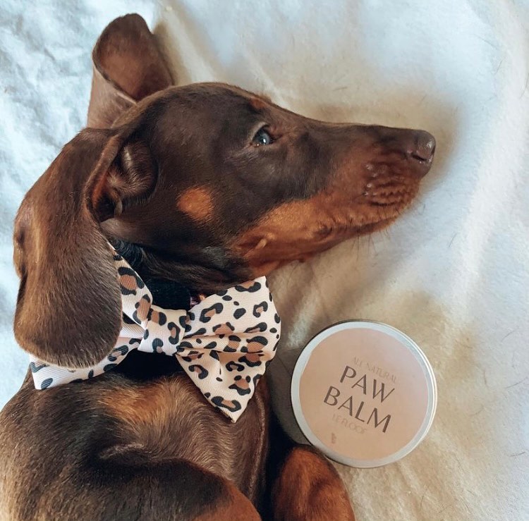 Paw Balm 50ml
