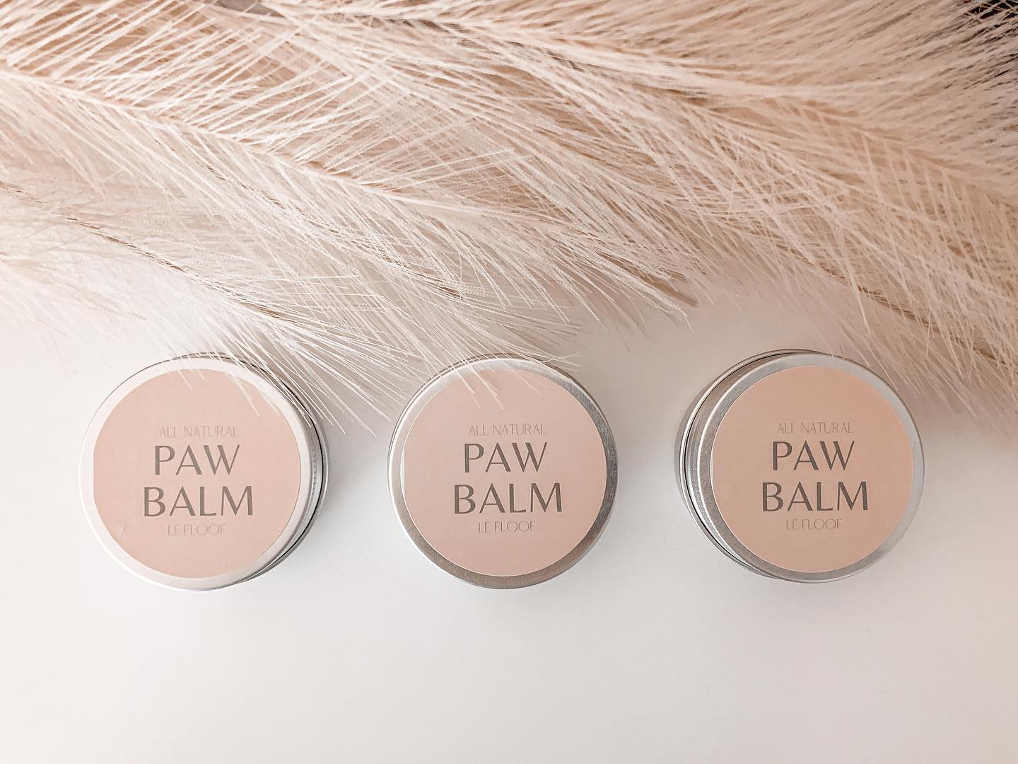 Paw Balm 50ml