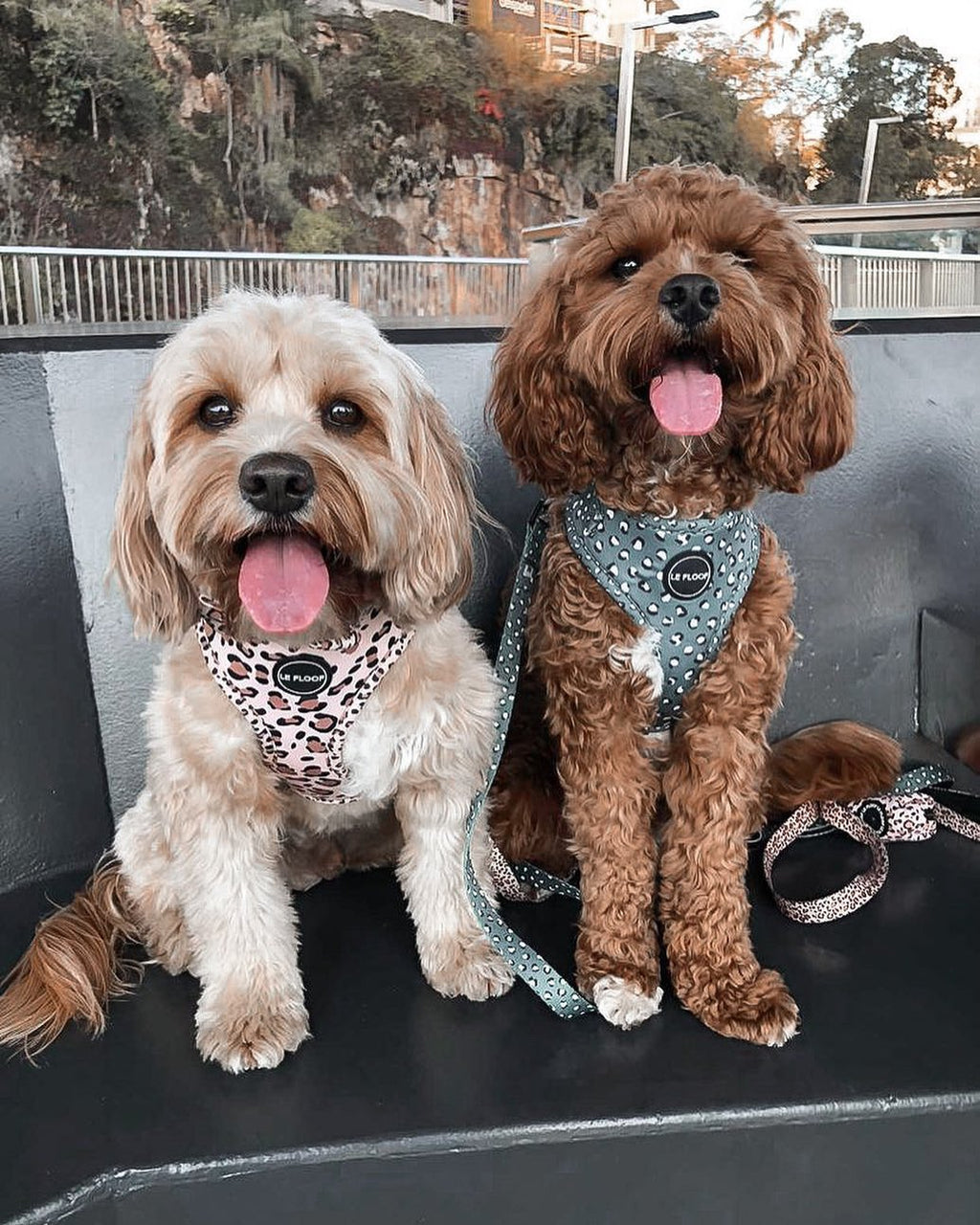 Forest Green Harness