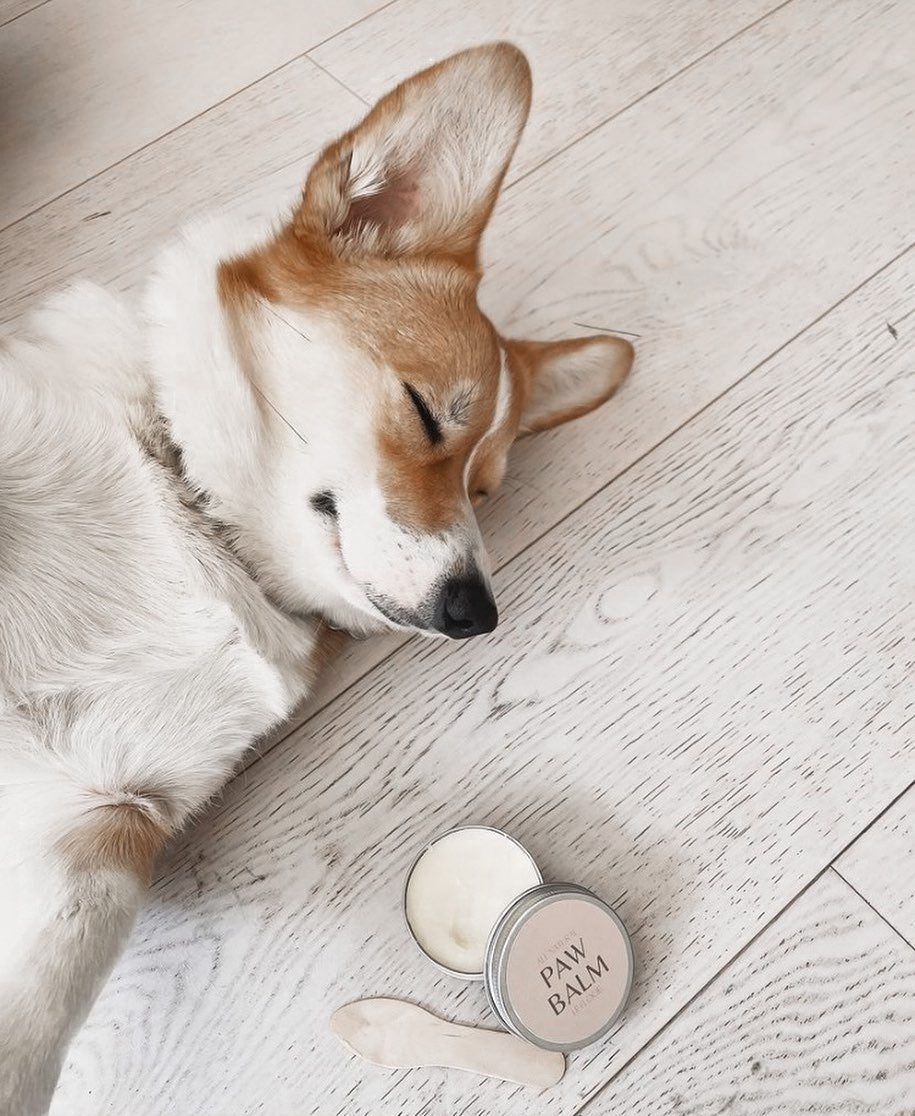 Paw Balm 50ml