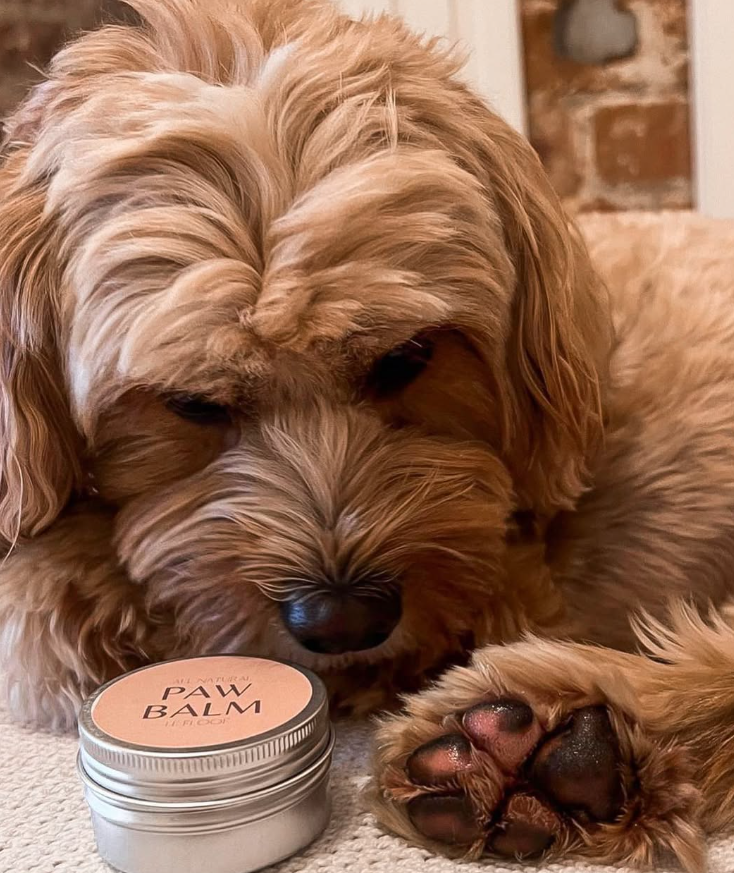 Paw Balm 50ml