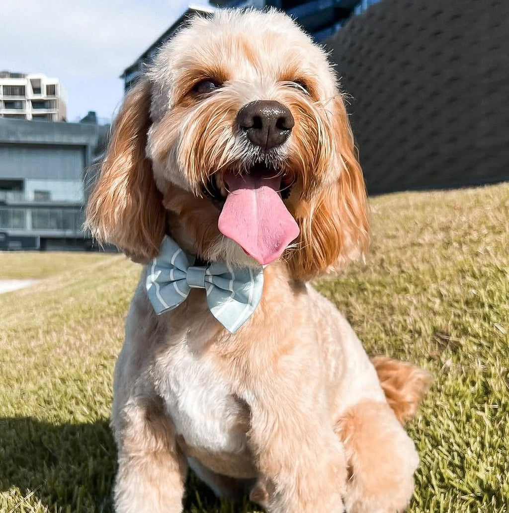 Blue Pinstripe Bow Tie