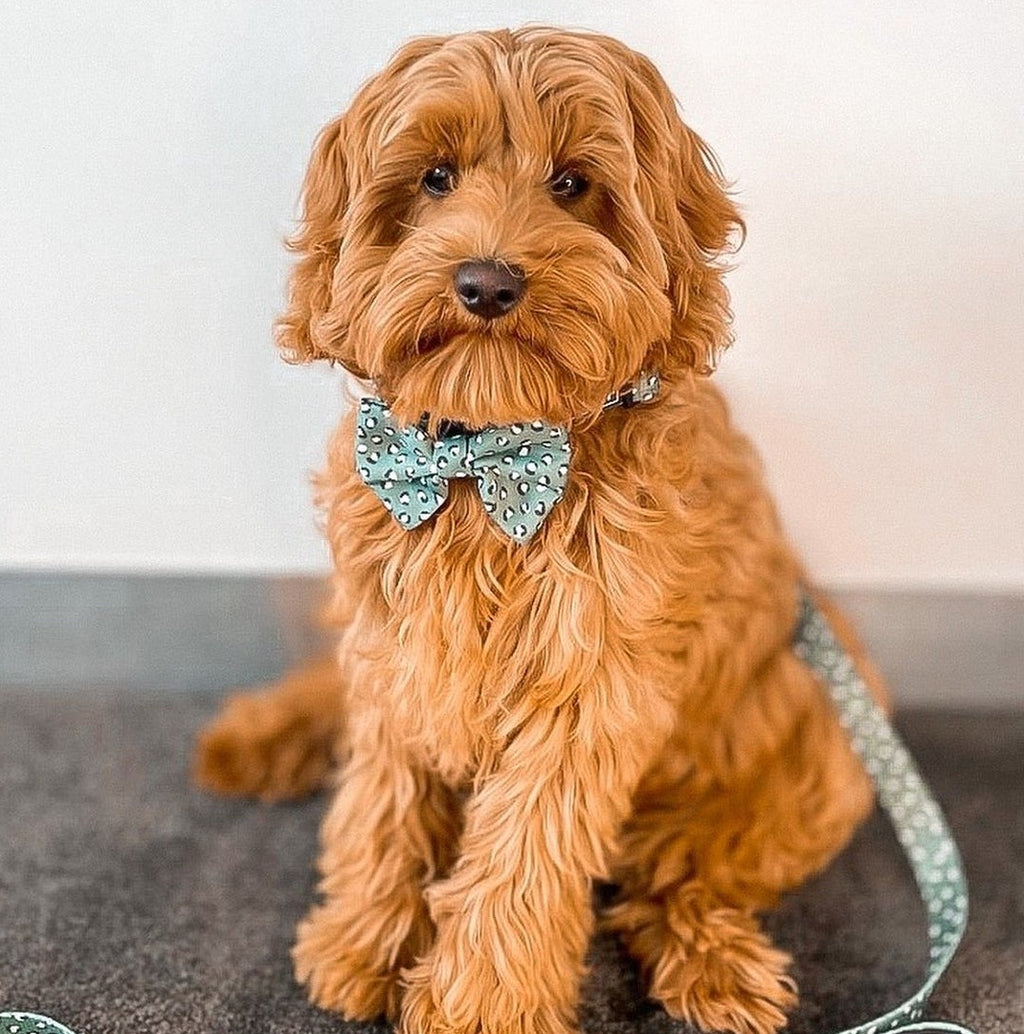 Forest Green Bow Tie