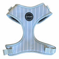 Blue Pinstripe Harness